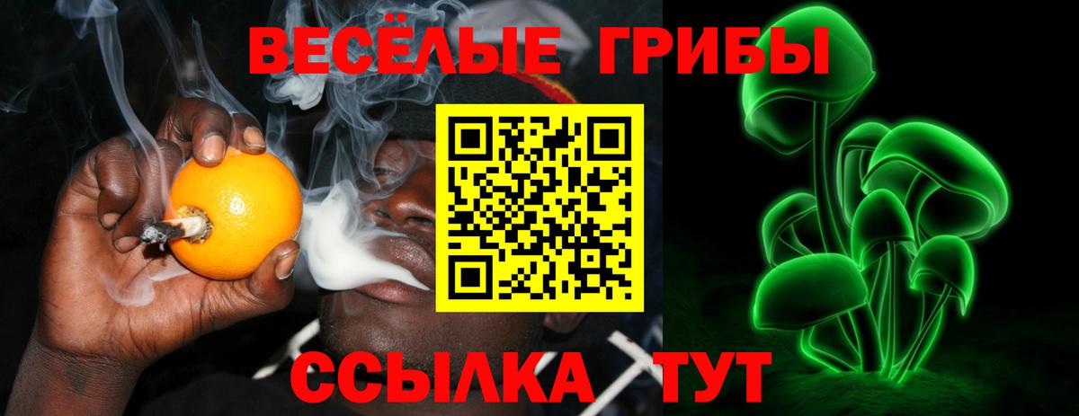 Галлюциногенные грибы Psilocybine cubensis Волжский